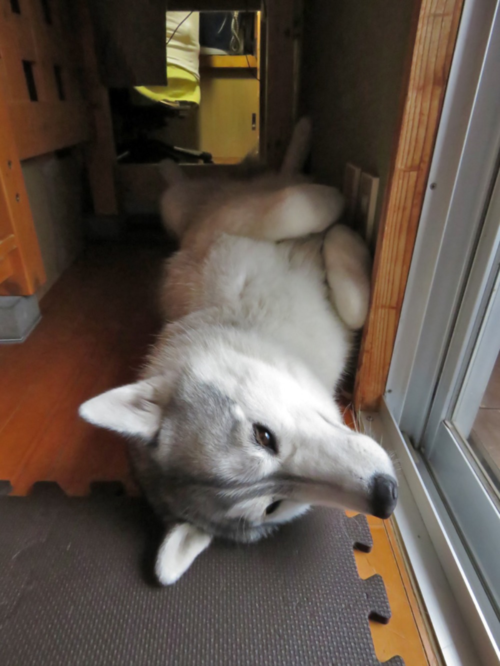 朝のお約束 (^o^)_c0049299_2345810.jpg
