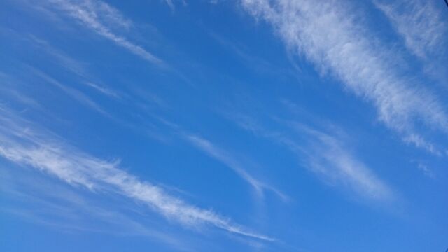 b0127002_1745571.jpg