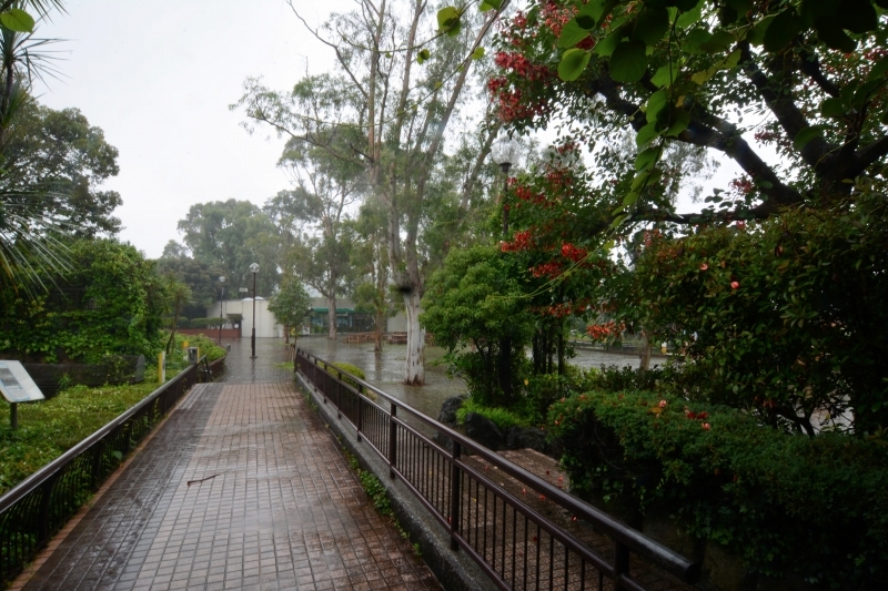 ヒロキと梅雨の寒い金曜日_a0164204_02025010.jpg