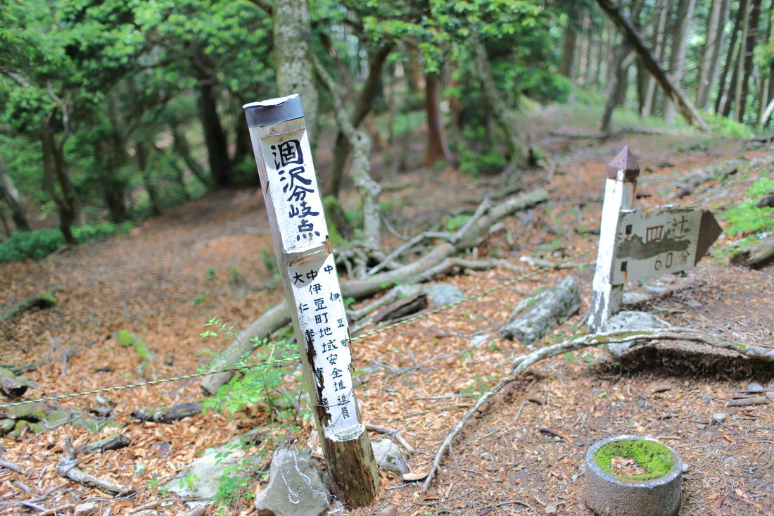 f0157812_14091504.jpg