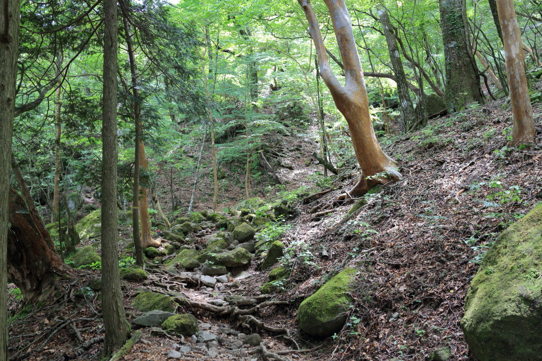 f0157812_14091529.jpg