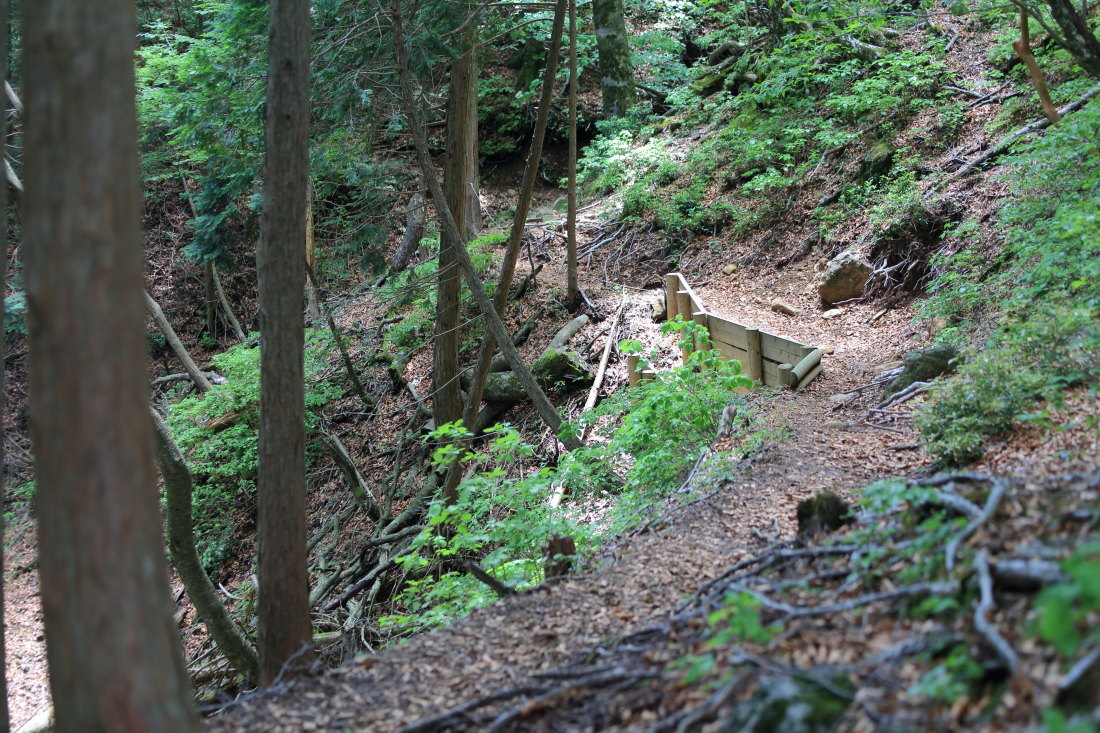f0157812_14091543.jpg