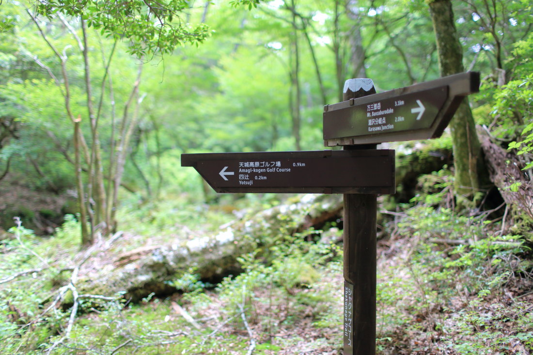 f0157812_14140207.jpg