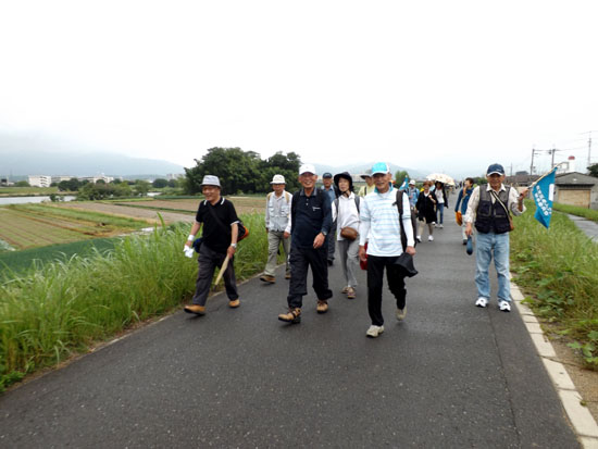 桂川河川敷ウウォーキング_e0048413_20374048.jpg