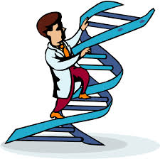 溝口憲治博士の「DNA工学」ついに完成！？：俺もちょこっと参加したんだが！？_e0171614_7263218.jpg