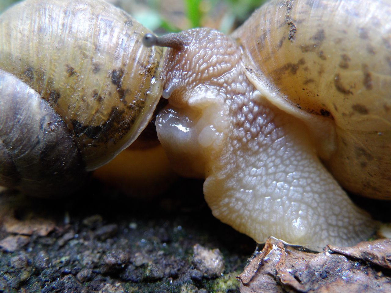 動物も植物も大忙し_c0025115_22234579.jpg