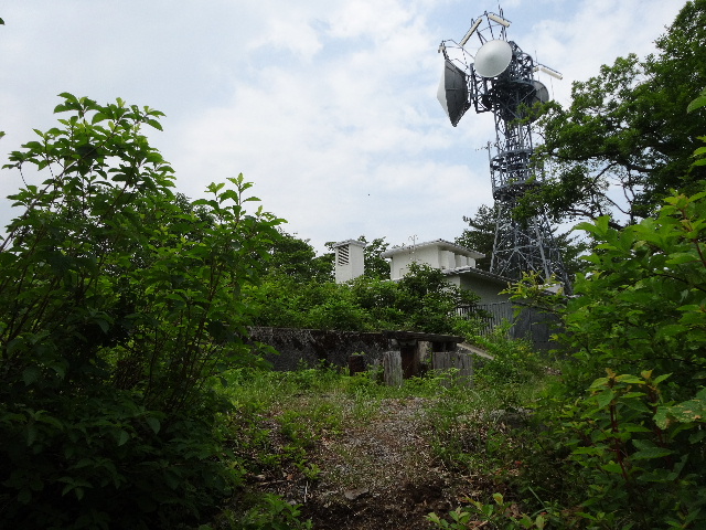 c0141223_1330252.jpg