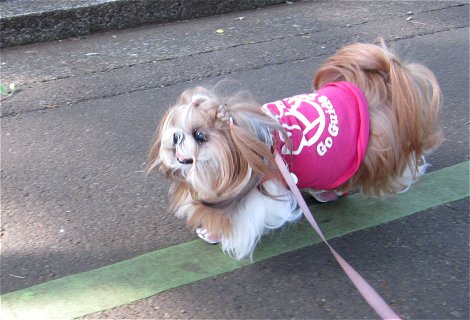 c0045628_0333864.jpg