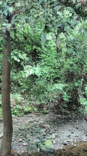 c0367429_16455712.jpg