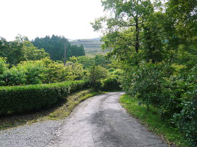 株式会社旬援隊 6月の敷地内の様子_a0254656_1913732.jpg