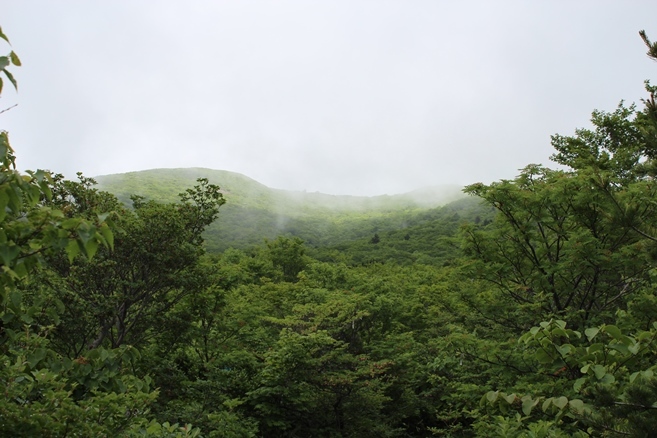 e0239458_20332860.jpg