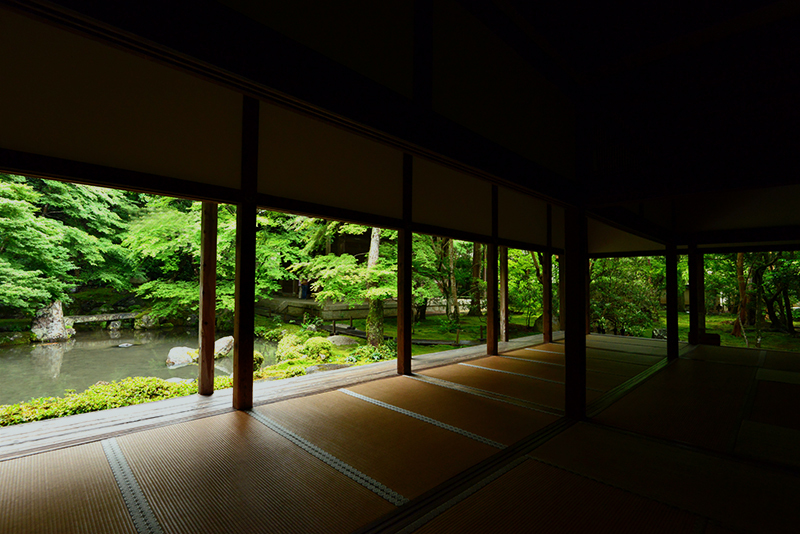 洛北蓮華寺　梅雨の時空_c0317868_19172987.jpg