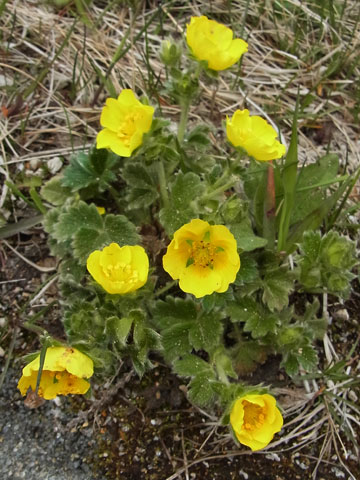 f0083977_1459091.jpg