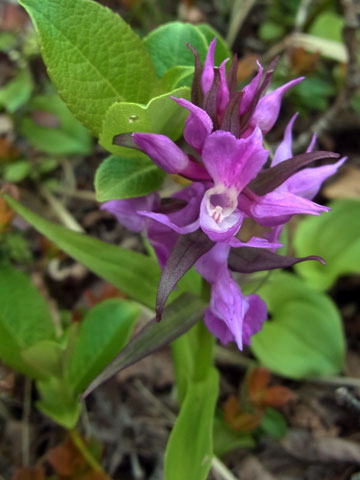 f0083977_1555692.jpg