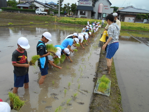 一小5年生の田植_c0329378_09380634.jpg