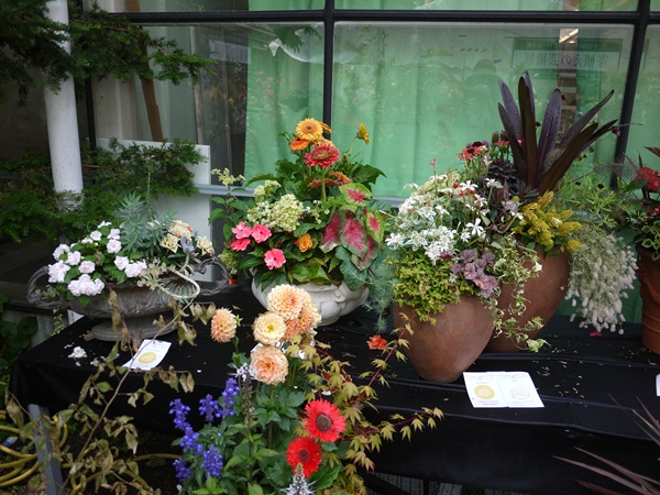 　④25thバラクラ　フラワーショウ　寄せ植えの芸術展_a0317581_16453390.jpg