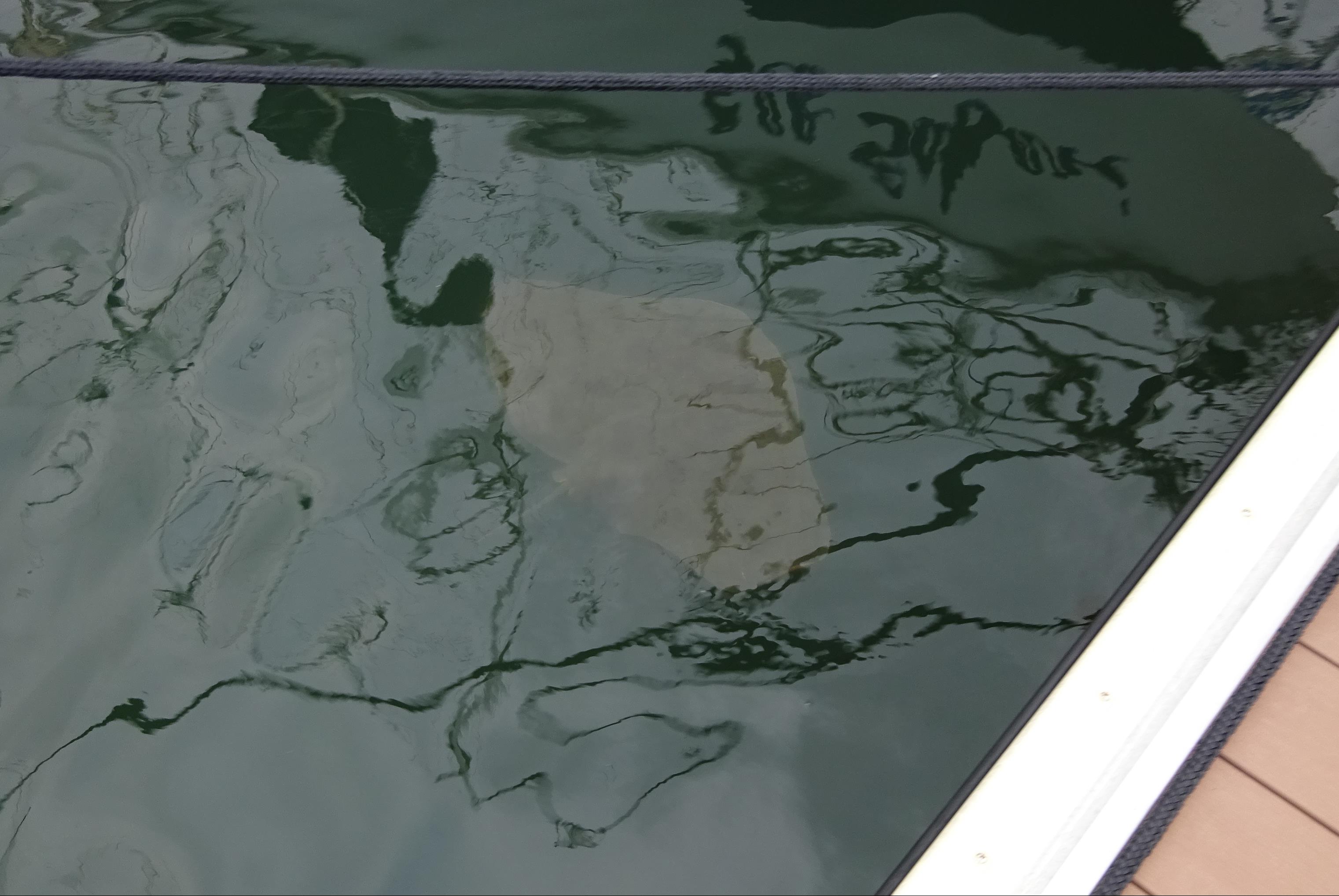 f0166694_21273233.jpg