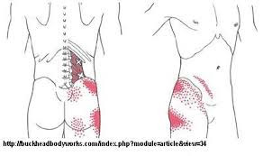 腸腰筋－トリガーポイントによる腰痛/鼠蹊部の痛み_f0121296_1740873.jpg