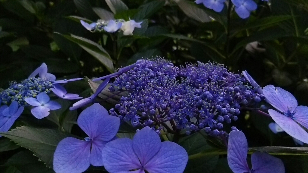 f0114900_12310644.jpg