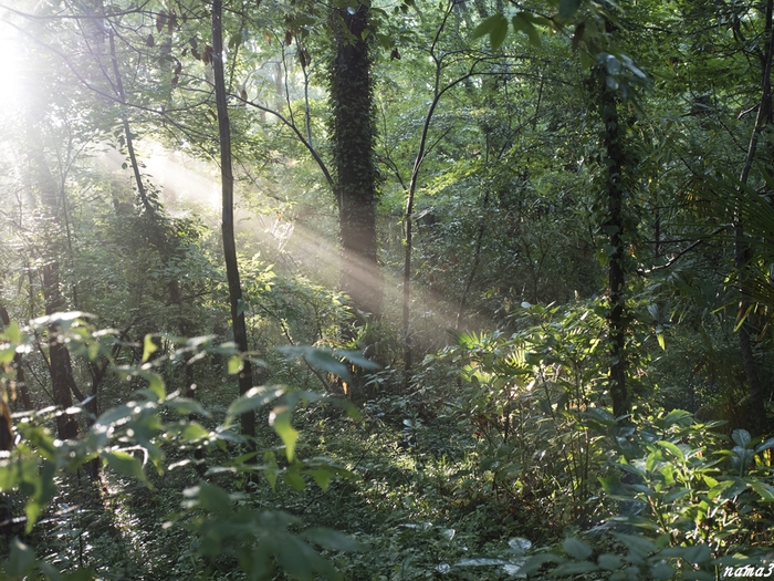 f0224100_74622.jpg