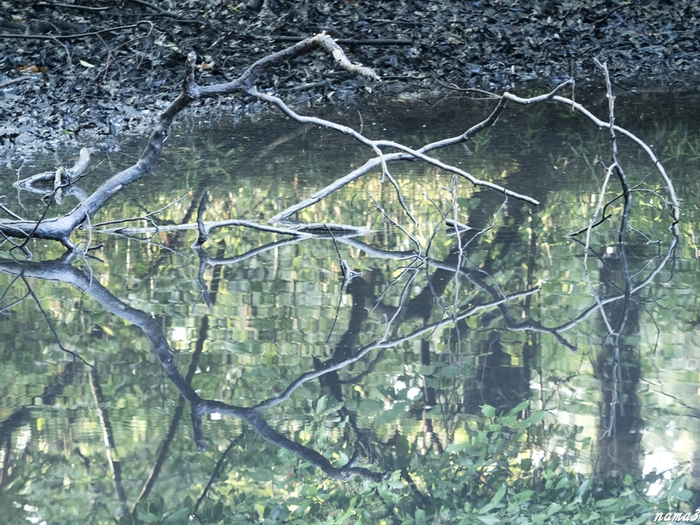 f0224100_7502814.jpg