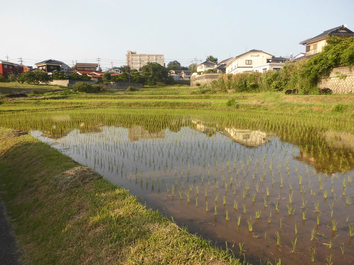 一人てくてくまち歩き－常盤用水路　東梶返_d0317903_23494339.jpg