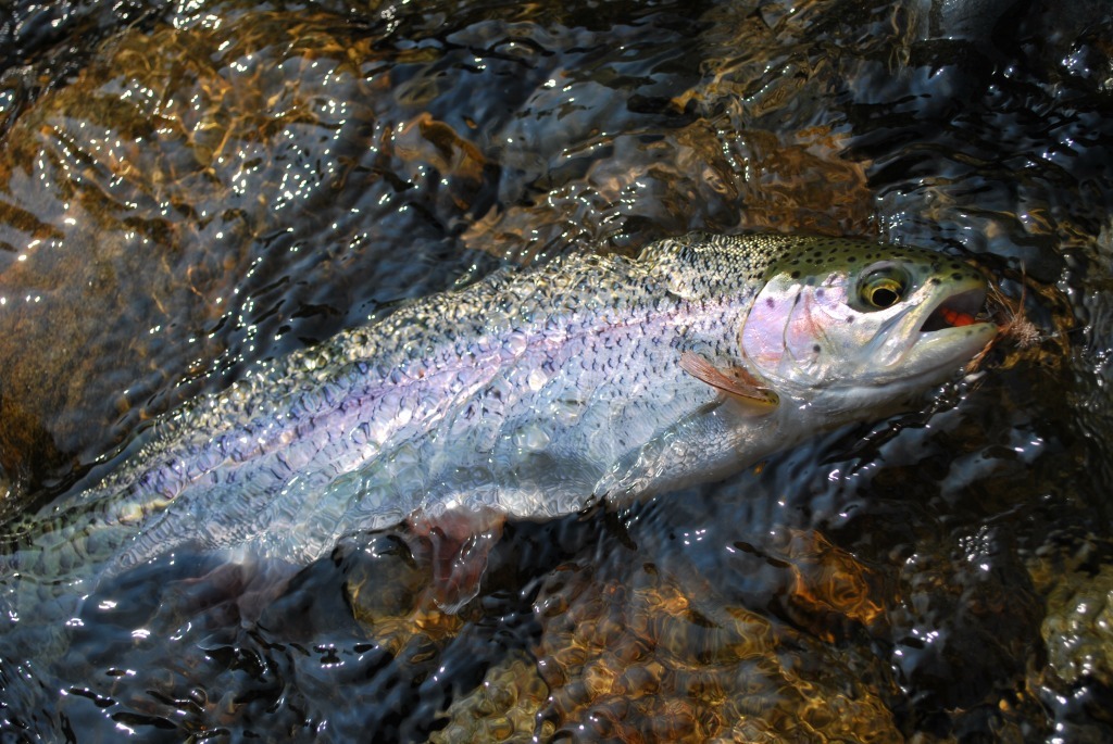 d0051707_04540246.jpg