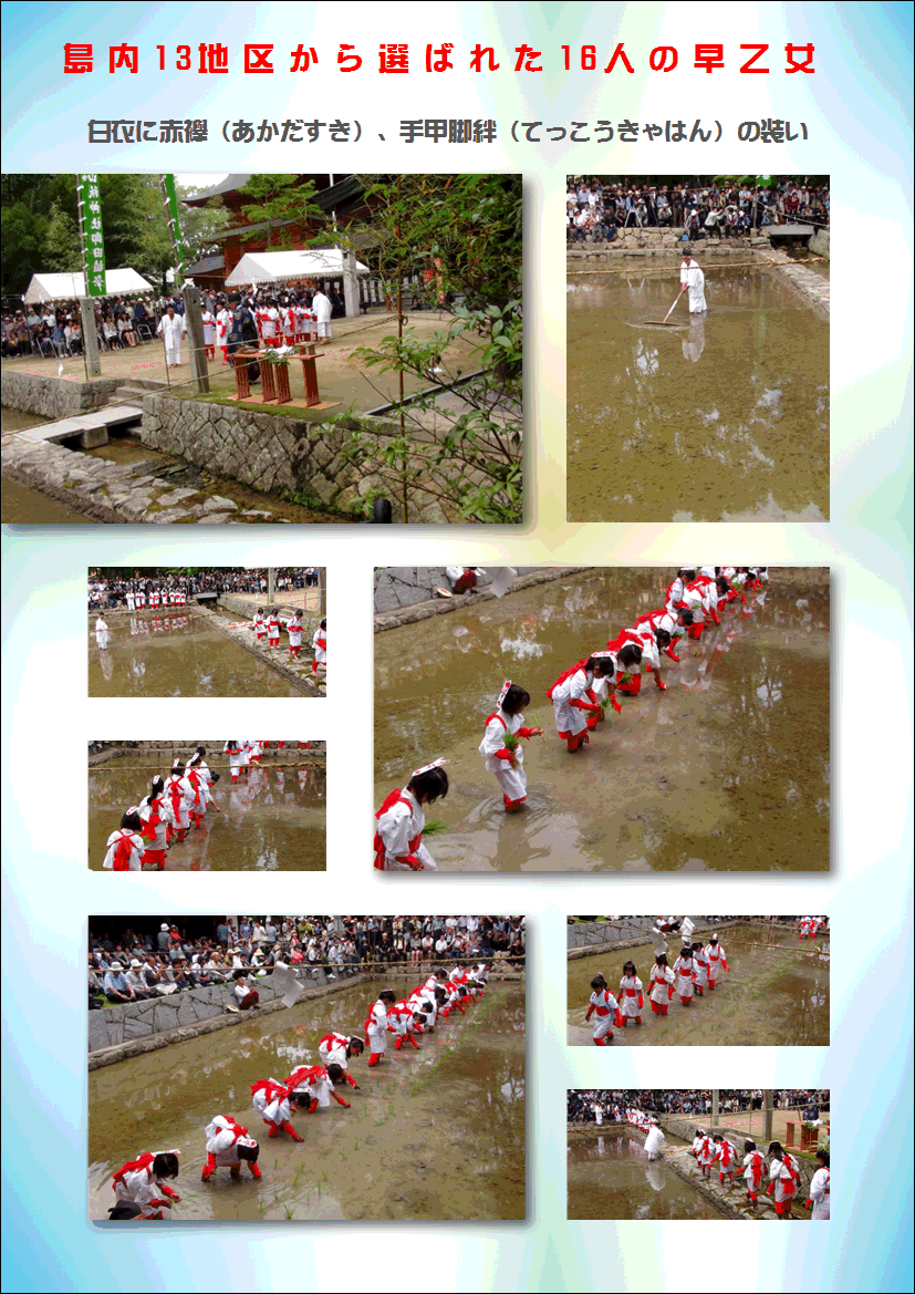 f0231709_10385359.gif