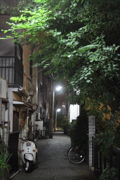 街の灯りに浮かぶ新緑 _b0190710_1754187.jpg