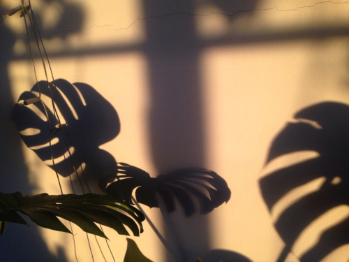 c0167813_07232782.jpg