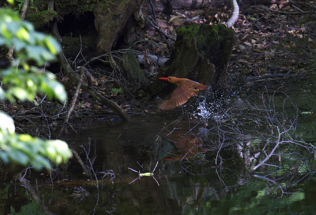 f0288418_55275.jpg