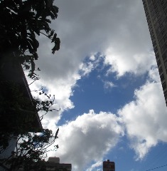 a0242019_94998.jpg