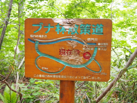 b0147224_20124785.jpg