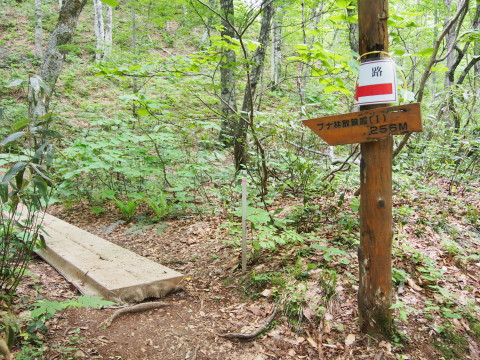 b0147224_2013339.jpg