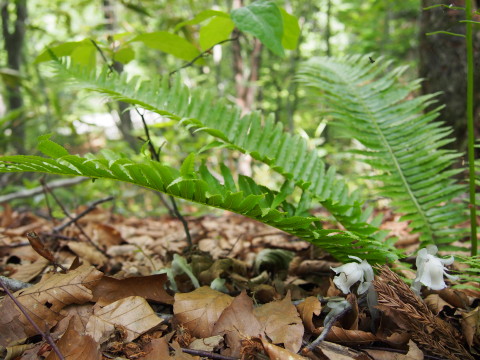 b0147224_20192920.jpg