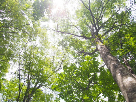 b0147224_20194966.jpg