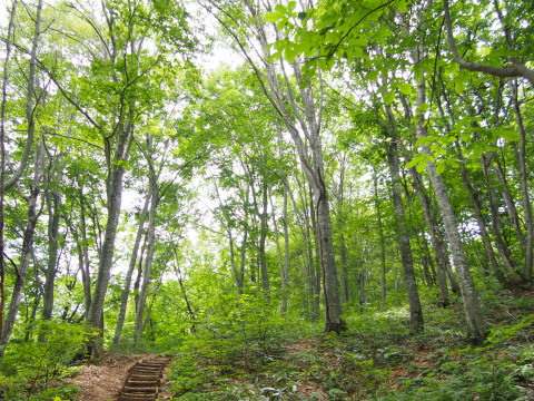b0147224_20204047.jpg