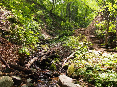 b0147224_20212531.jpg