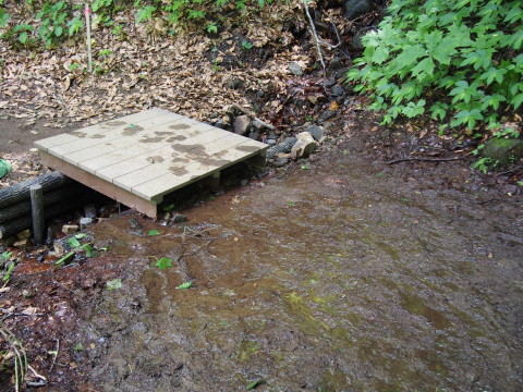 b0147224_20223012.jpg