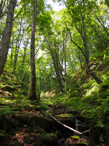 b0147224_20224816.jpg