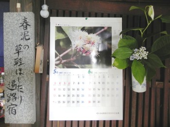 f0213825_1603816.jpg