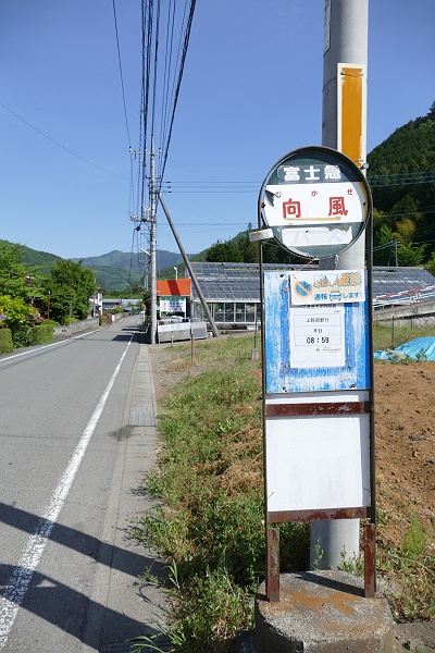 山梨県八重山に登る　その２_c0196928_63933.jpg