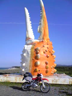 a0222229_8444521.jpg