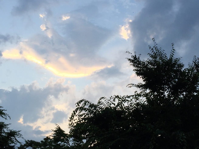 c0113733_22563946.jpg