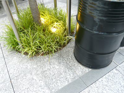 c0121933_17431934.jpg