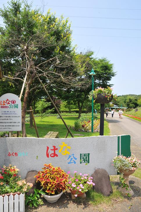 c0142535_20153998.jpg