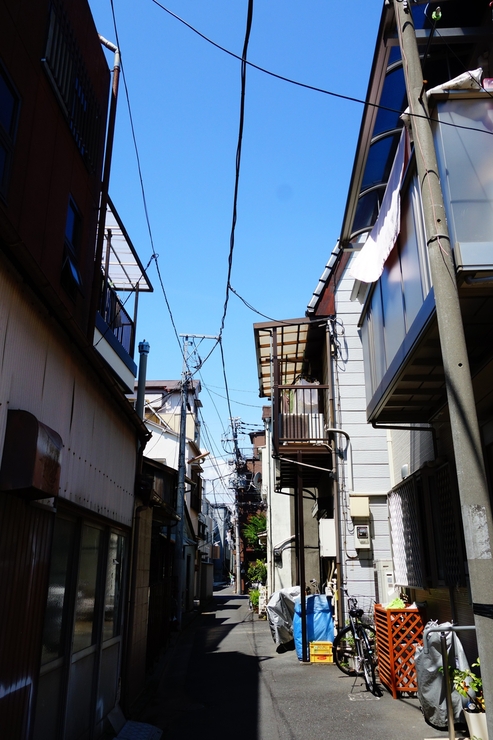 a0287336_12236.jpg