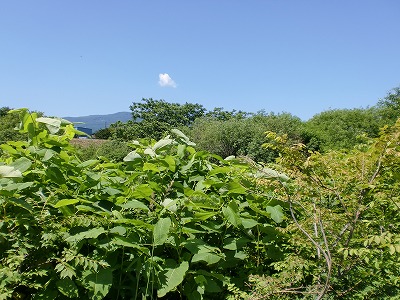 d0289139_12403785.jpg