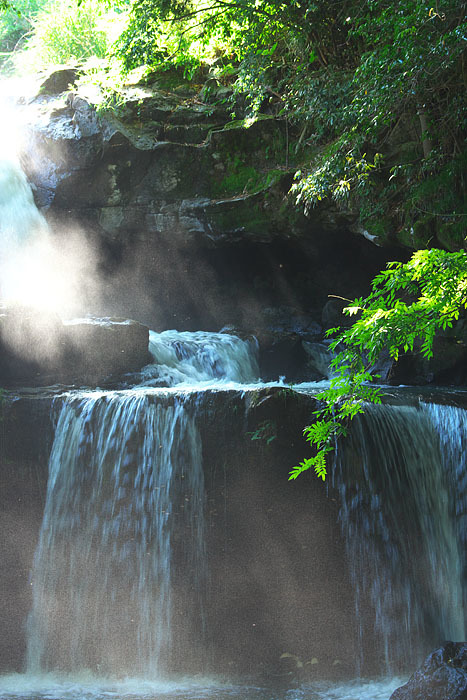 c0067040_21353697.jpg