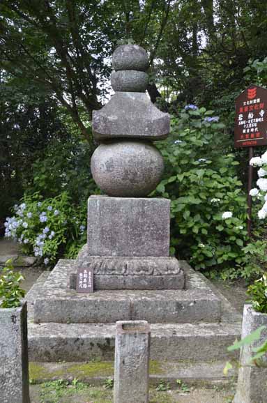 三重塔とアジサイ〜当尾・岩船寺_a0100742_1054432.jpg